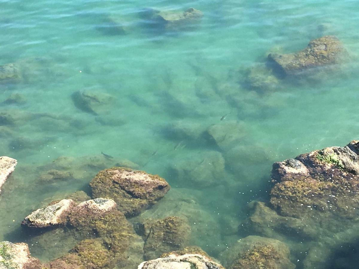 La Casetta Di Dory Sul Mare Génova Exterior foto